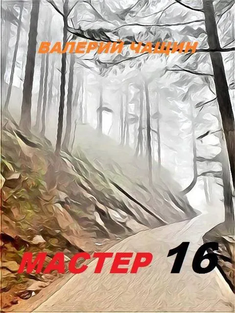 Мастер 16