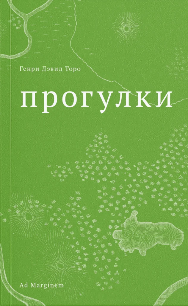 Прогулки